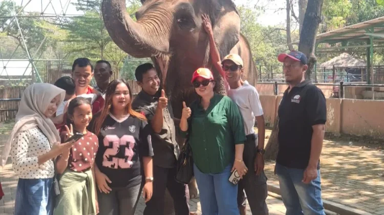Semarang Zoo Peringati Hari Gajah Sedunia, Zella Jadi Pusat Perhatian Pengunjung