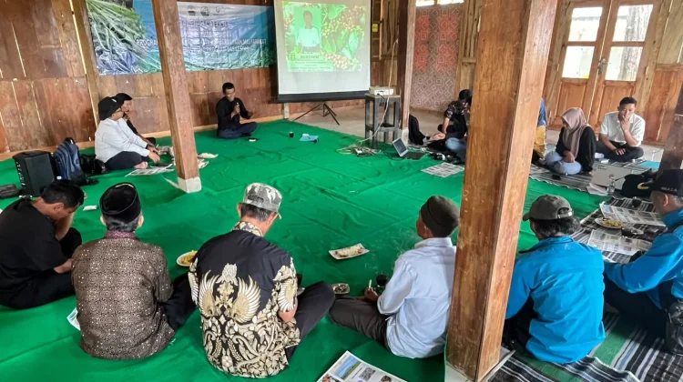 PLTU Batang Hidupkan Kembali Kejayaan Kopi Tombo, "Emas" dari Lereng Batang