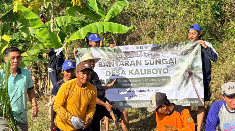 KKN Undip Peduli Lingkungan, Tanam Pohon Kelapa dan Ficus di Bantaran Sungai
