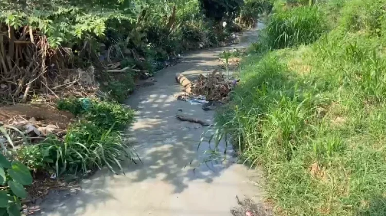 Limbah Pengolahan Ketela Diduga Cemari Sungai Langgenharjo