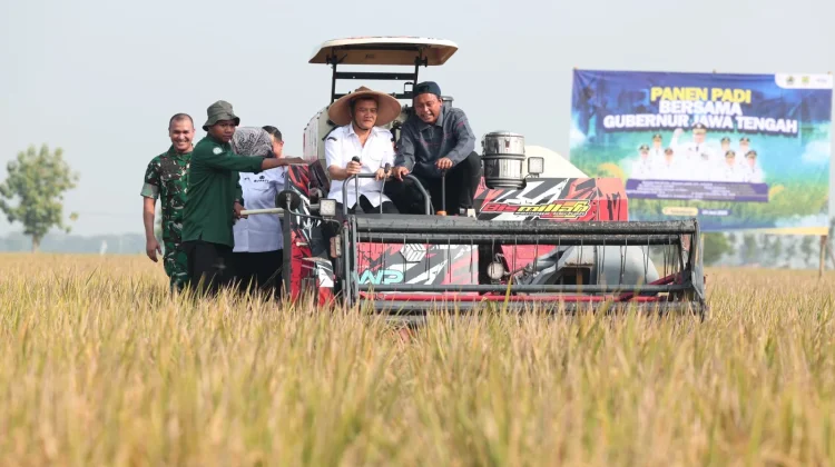 Jateng Kokoh Jadi Penyangga Pangan Nasional