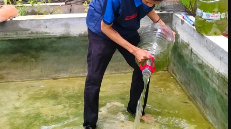 Dari Sampah Jadi Pelet Ikan, Mahasiswa Undip Berdayakan Warga Klidang Lor
