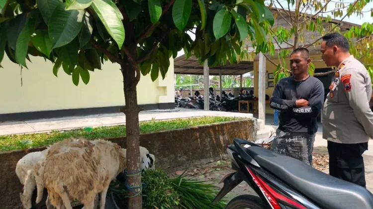 Curi Kambing di 11 Lokasi, Suami Istri di Magelang Ditahan Polisi