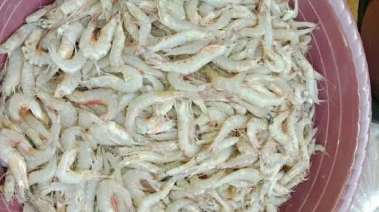 Tips Membersihkan Udang sebelum Dimasak