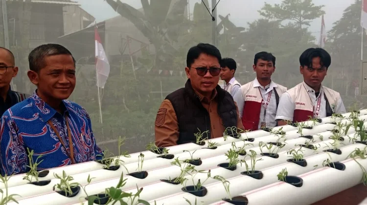 Atasi Keterbatasan Lahan, Untidar Kembangkan Pertanian Modern Lewat Aquaponik