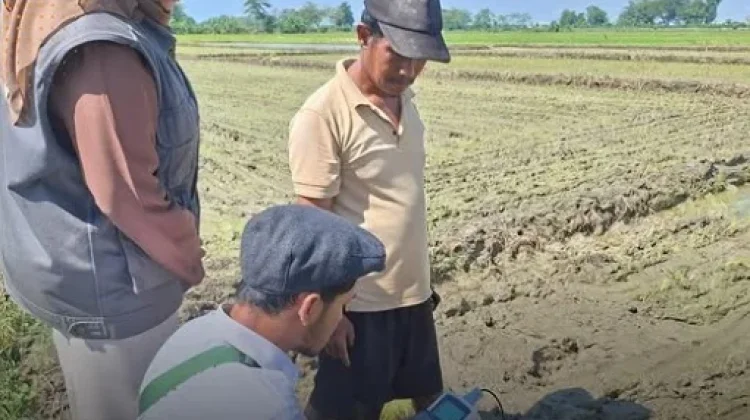 Dukung Swasembada Pangan, BRMP Jateng Perkuat Inovasi untuk Petani