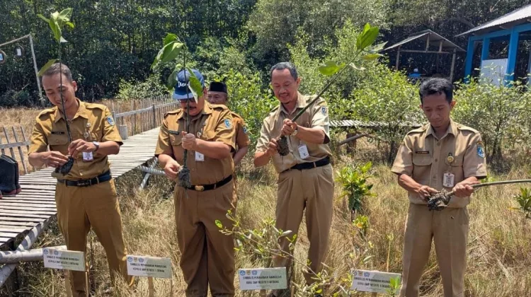 Peduli Pesisir, SMP 3 Wedung dan SMP 1 Demak Kompak Tanam Mangrove
