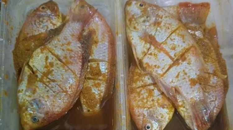Ragam Bumbu Marinasi untuk Ikan Nila
