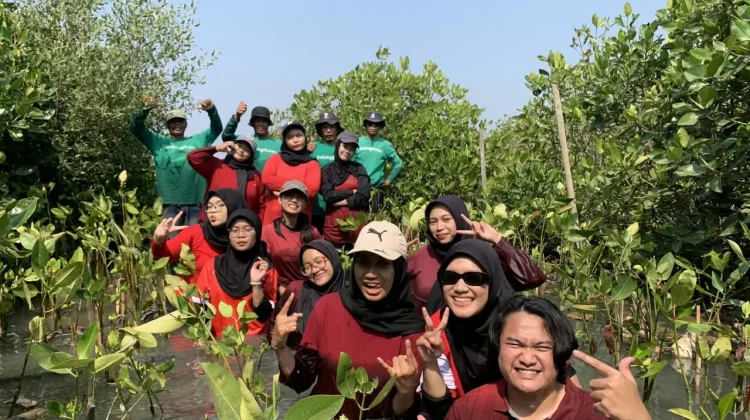 Maknai Kemerdekaan, Mahasiswa USM Tanam Mangrove untuk Jaga Lingkungan Pesisir