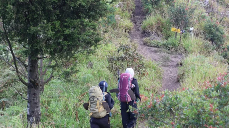 Mendaki Gunung, Momen Kebersamaan Bersama Keluarga
