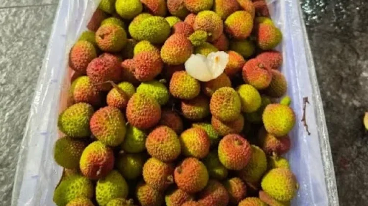 Tips Memilih Buah Leci Segar dan Berkualitas
