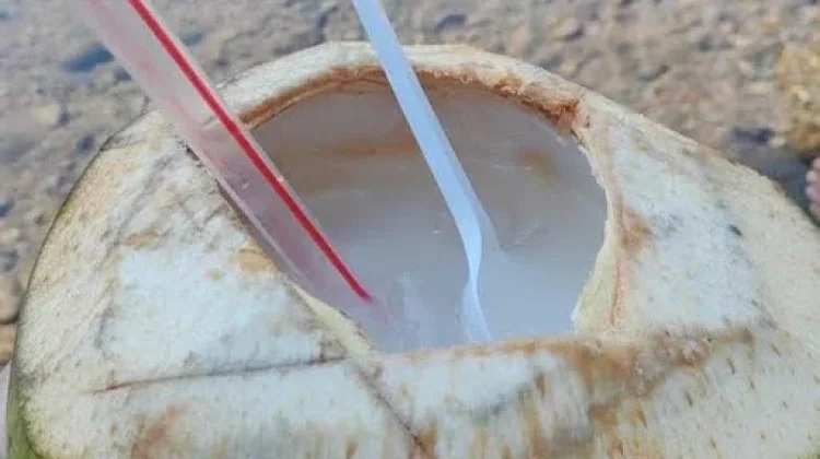 Segarnya Air Kelapa Muda Langsung Diminum dari Buahnya