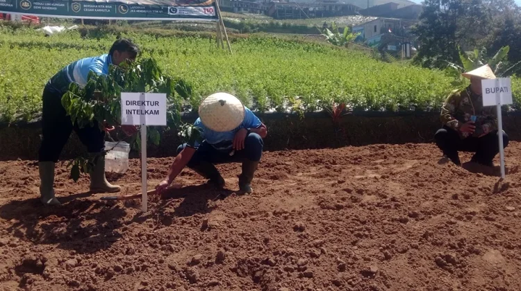 Cegah Karhutla, Polda Jateng dan Unnes Tanam 1.000 Pohon Kopi di Lereng Sumbing