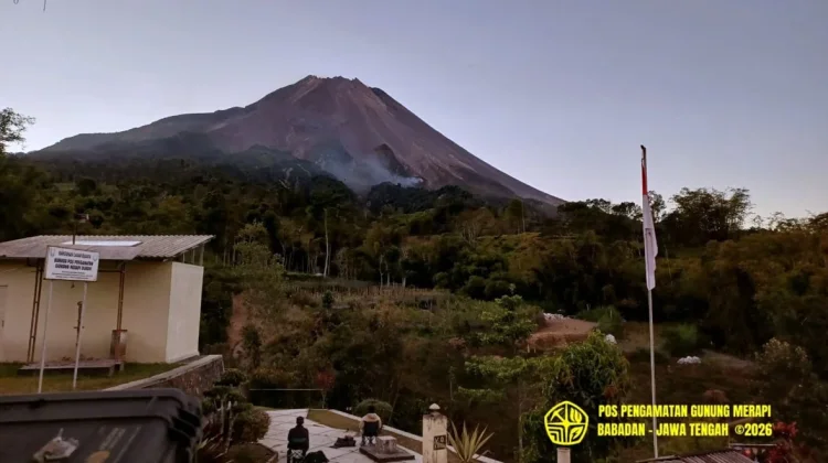 Awan Panas Guguran Merapi Sebabkan Kebakaran Vegetasi Hutan Merapi
