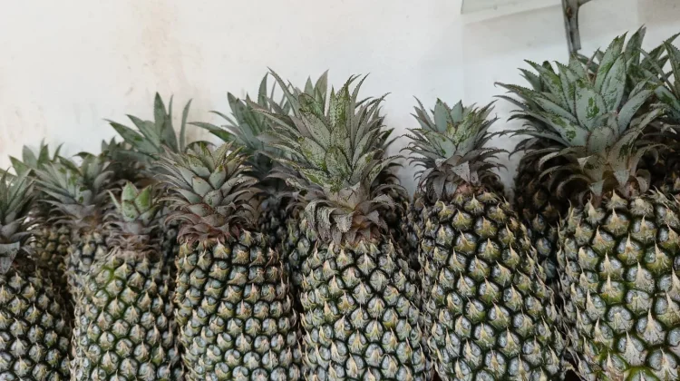 Diet Sehat Menyegarkan dengan Konsumsi Buah Nanas