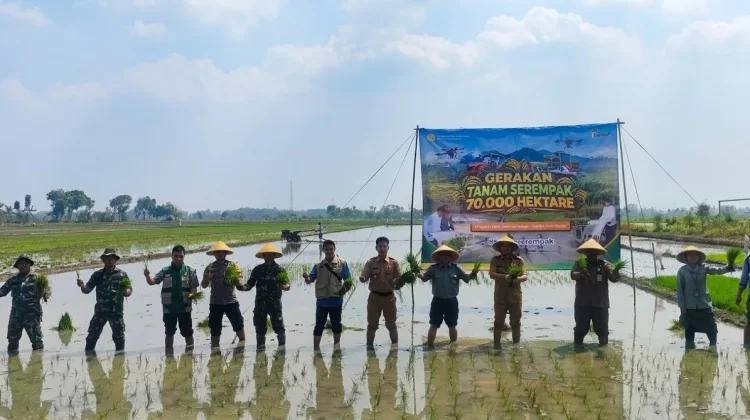 Kementan Genjot Indeks Pertanaman Serempak, Pekalongan Jadi Pilot Project Jateng