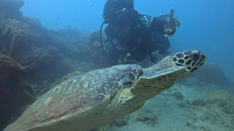 Bandara Semarang Hadirkan Pelatihan Diving Gratis untuk Masyarakat Karimunjawa