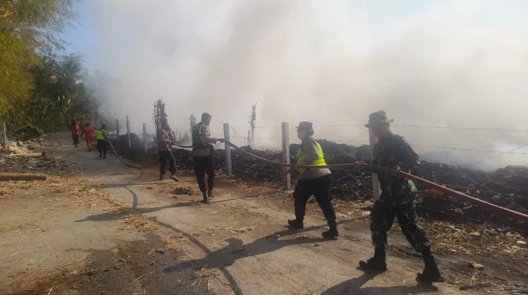 Kebakaran Lahan Penghijauan di Tol KM 442 Bawen, Lima Mobil Damkar Dikerahkan