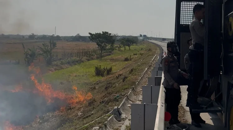 Pembakaran Liar di Lahan Persawahan, Polres Brebes Gerak Cepat Padamkan Api