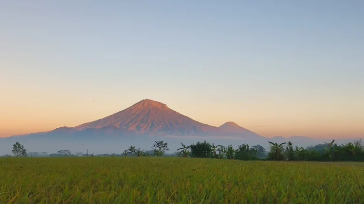 Gunung Sumbing, Pesona Alam di Perbatasan Jawa Tengah