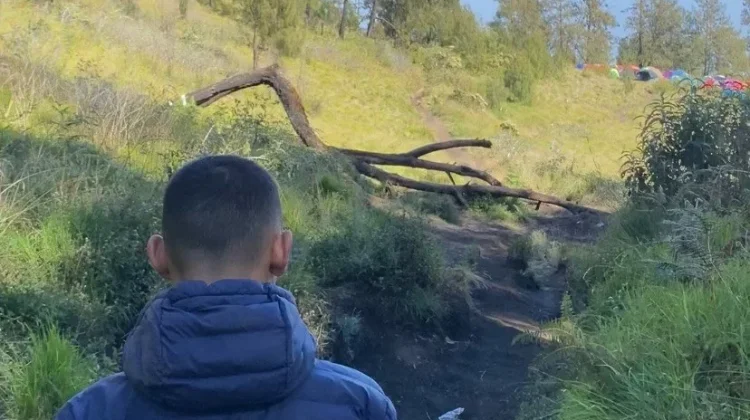 Perjalanan Melintasi Sabana Gunung Lawu yang Menawan