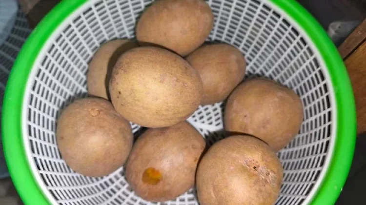 Tips Memilih Buah Sawo dengan Baik