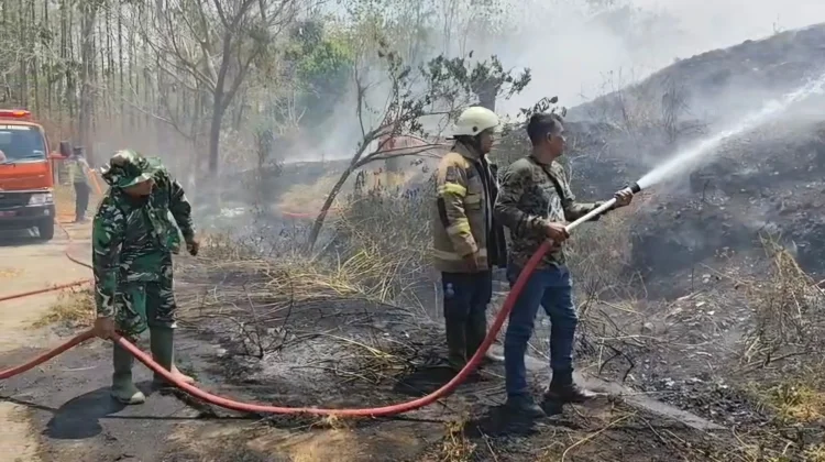 Lahan Eks TPA Darupono Kendal Kembali Terbakar, Tim Gabungan Bergerak Padamkan Api