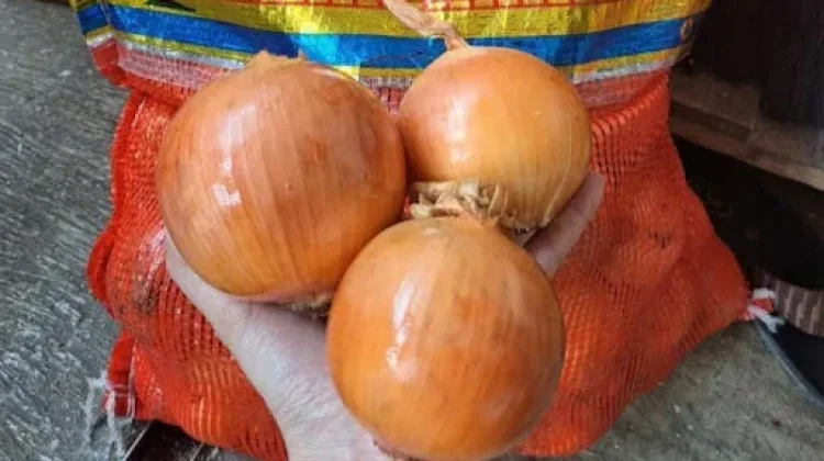 Cara Mengurangi Aroma Tajam Bawang Bombay