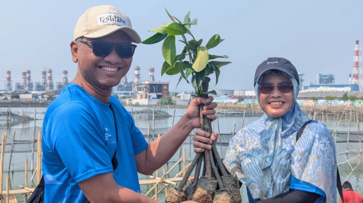 PLN Indonesia Power Tanam 1.000 Mangrove, Perkuat Pesisir Tambak Lorok