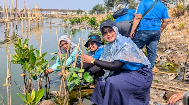 PLN Indonesia Power Tanam 1.000 Mangrove, Perkuat Pesisir Tambak Lorok