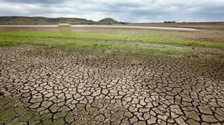 Kemarau Diperkirakan Berlanjut hingga Oktober, BPBD Pati Imbau Petani Hemat Air