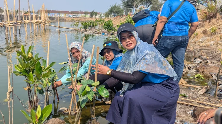PLN Indonesia Power Bangun Kemandirian Warga Pesisir Tambaklorok