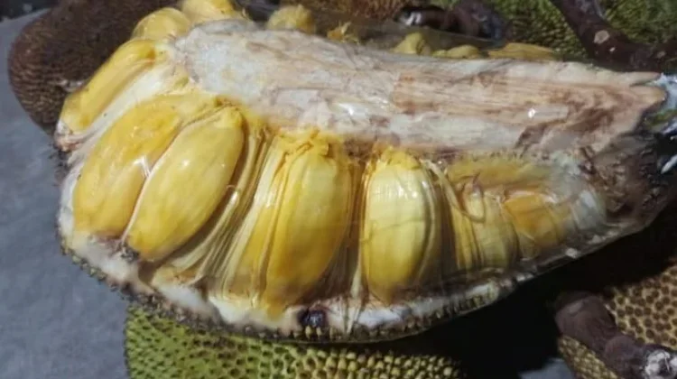 Tips Memilih Buah Nangka yang Dalamnya Manis Bertekstur