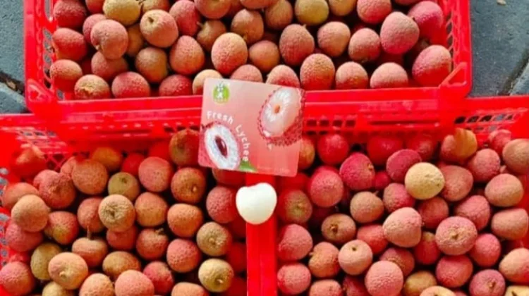 Cara Menyimpan Buah Leci agar Tetap Segar