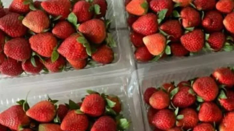 Cara Menyimpan Strawberry agar Tidak Cepat Busuk