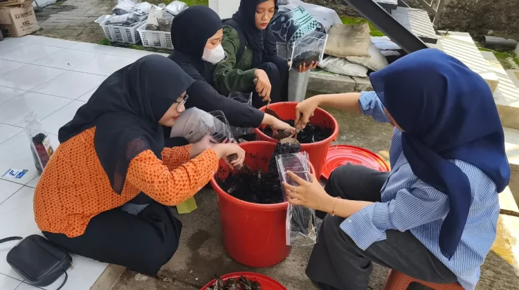 Tak Sekadar Limbah, Ampas Buah Bisa Jadi Pupuk Organik