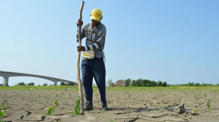 El Nino Ekstrem Berkepanjangan, Apa Dampaknya?