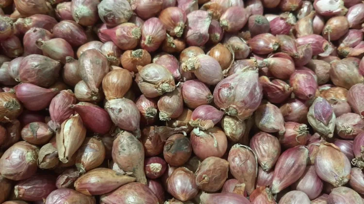 Tips Memilih dan Menyimpan Bawang Merah
