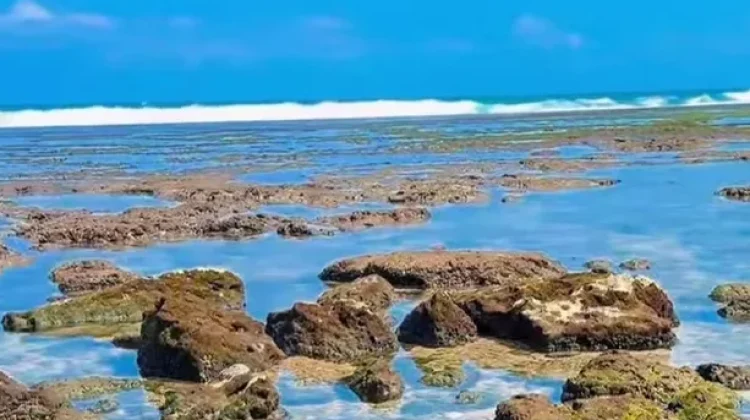 Pantai Kuwaru, Pesona Laut Selatan yang Masih Alami dan Gratis