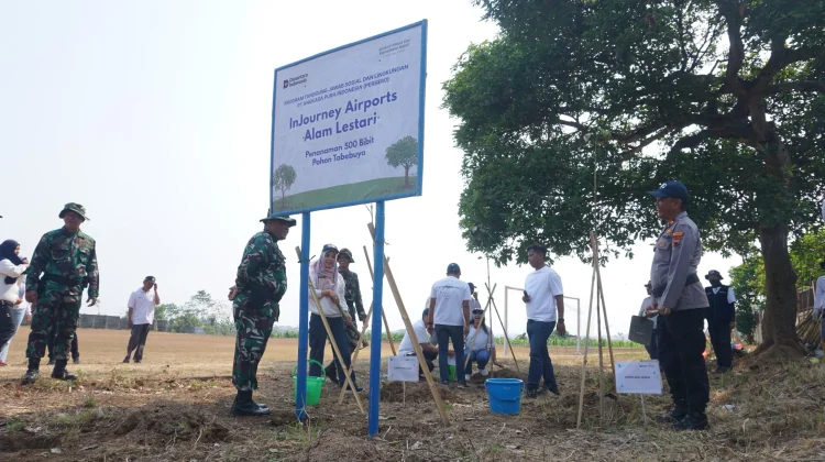 Bandara Semarang Tanam 500 Pohon Tabebuya di Polaman Mijen