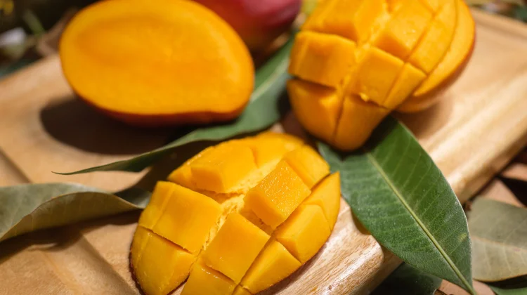 Sensasi Manis Mangga Madu