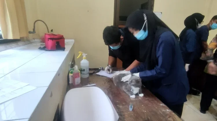 Vaksin Rabies Gratis di Kendal Disambut Baik Pemilik Hewan