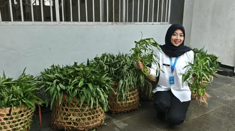 Warga Binaan Lapas Semarang Panen Kangkung 60 Kilogram, Hasil Belajar Mandiri