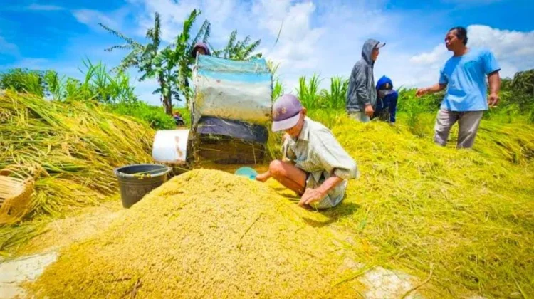 Sinergi Pesisir Kunci Kesejahteraan Nelayan Jawa Tengah