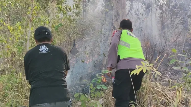 Kebakaran Lahan Perhutani di Buayan Meluas hingga 2 Hektare