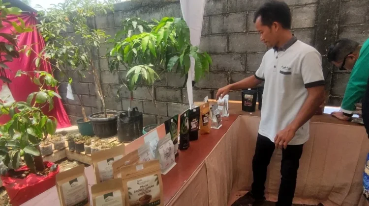 Daya Beli Kurang, Komoditas Kopi di Kendal Harganya Turun