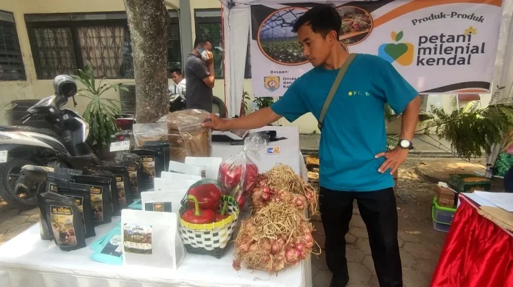 Petani Milenial Kendal Mulai Tunjukkan Kiprahnya, Tersebar di 20 Kecamatan