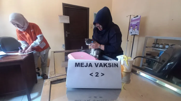 Vaksin Rabies Gratis di Kudus Diserbu, 120 Hewan Sudah Terdaftar