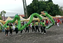 Pesona Barongsai Naga Hijau, Simbol Harapan Baru