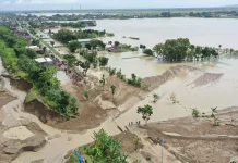 Banjir Grobogan Rendam Ribuan Hektare Sawah, Pemerintah Kawal Asuransi